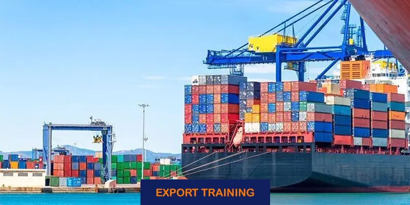 Market Research and Product Selection