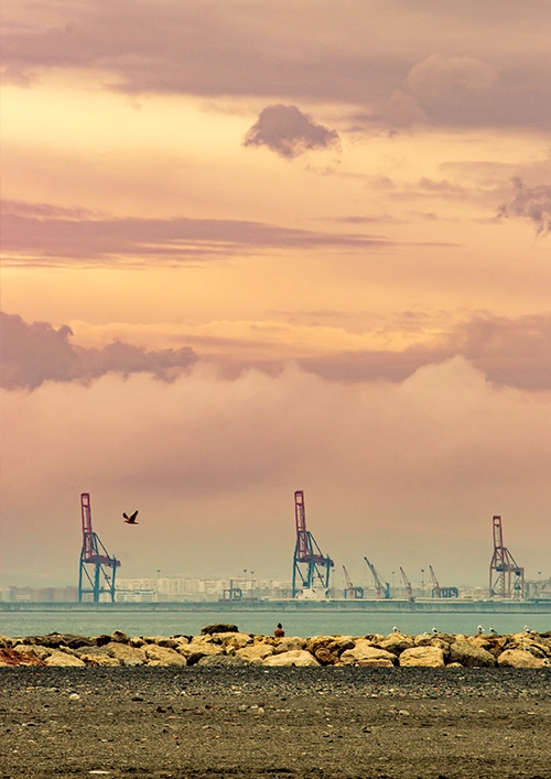 begging success story 01