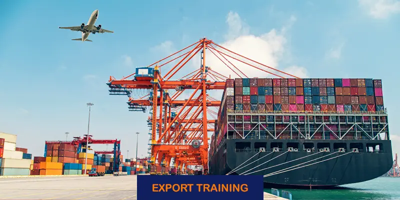 Logistics, Shipping and Customs Clearance
